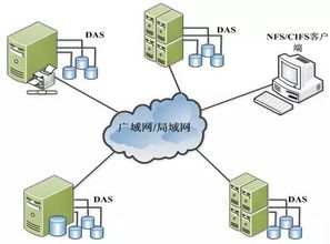 數(shù)據(jù)存儲基石 設(shè)備類型、系統(tǒng)架構(gòu)與服務(wù)支持全景解析